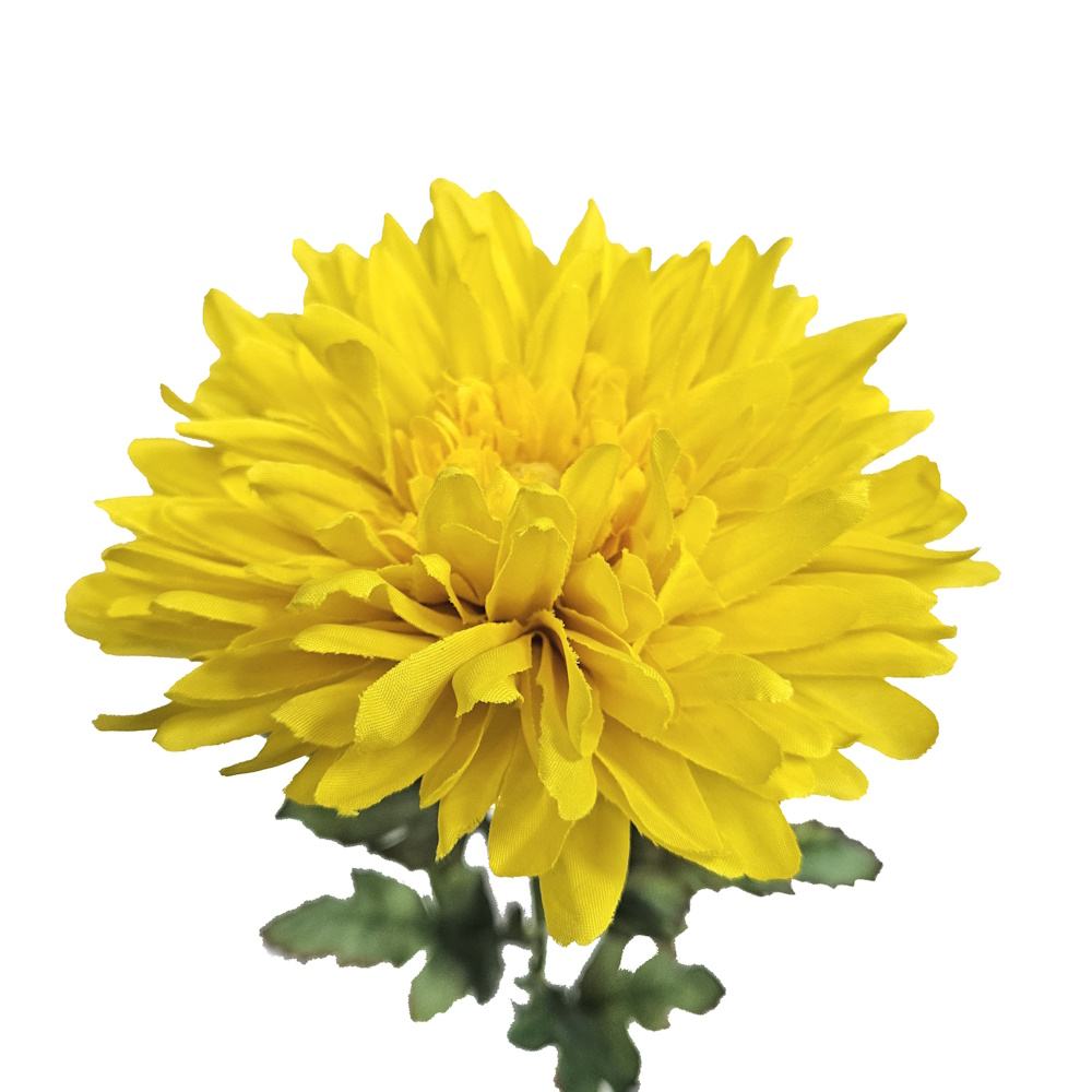 สีเหลือง