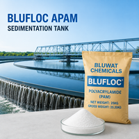 Polyacrylamide Anionique (APAM) 89% Min Solide, 20-100 Mesh, pour la Déshydratation des Réservoirs de Sédimentation, CAS 9003-05-8, Sac en Papier Kraft de 25kg