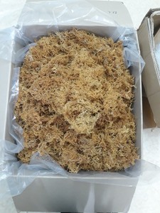 มอสจากทะเลงานฝีมือป่าจากมหาสมุทรเวียดนาม/Eucheuma cottonii spinosum-Bella - Product Image 2