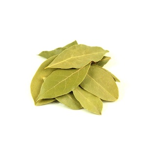 Affordable Bay <b>Leaf</b> for Sale High Quality Fresh and Aromatic Bulk Orders Welcome at Discounted Prices - Product Image 4