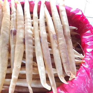 ปลาคองเกอร์แห้งเวียดนาม 16 ออนซ์/ปลาคองเกอร์แห้ง ปลาไหลแห้ง ANGLE - Product Image 1