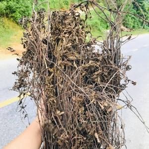 Feuille d'herbe séchée biologique gelée d'herbe noire feuilles bâtons et tiges pour ingrédient de dessert sain - Product Image 1