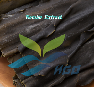โรงงาน HGO จัดจำหน่ายสารสกัดจากสาหร่ายคอมบุบริสุทธิ์จากธรรมชาติ เกรดอาหาร อัตราส่วนสารสกัด 5:1 10:1 20:1 - Product Image 2