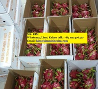 Verse Dragon Fruit/Pitaya Fruit 350GR Rood/Wit Vlees Graad A Kim Minh International KMI