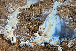 Degrading Old Cooking <b>Oil</b> Using Clenmaxx <b>Fog</b> - Product Image 6