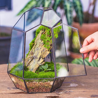 Impressionnant qualité nouveauté verre clair géométrique Terrarium Vase jardin mousse Air plantes décoration table mariage maison hôtels