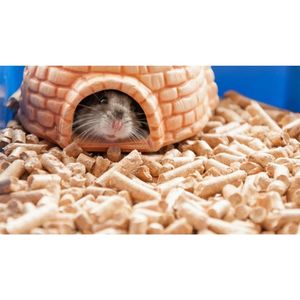 Granule litière pour chat - Product Image 5