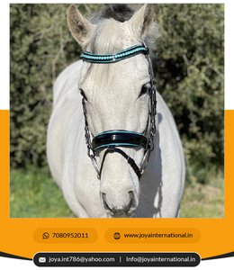 Édition limitée Fidji Black Patent Snaffle Bridle Produit de cheval plié de bonne qualité - Product Image 4