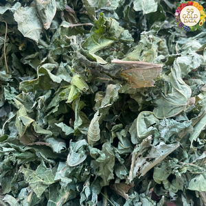 Feuilles de papaye séchées du Vietnam produites à partir de feuilles de papaye sélectionnées pour les tisanes et la transformation d'ingrédients - Product Image 3