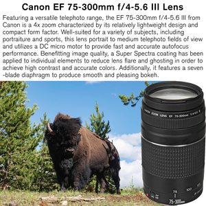 Appareil photo reflex numérique 5D Mark IV avec objectif 18-55 mm, objectif 75-300 mm, objectif super zoom HD 420-800 mm, carte mémoire 128 Go, flash, monopode - Product Image 6
