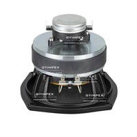 Système audio bidirectionnel haute performance, haut-parleur 5'' à driver coaxial, haut-parleur coaxial professionnel 5 pouces