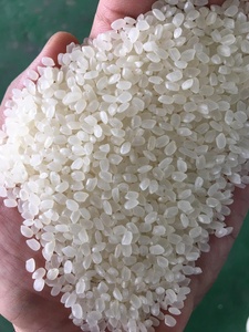 Alta Calidad Japonica Arroz Riz-Arroz-Calrose Riz-Arroz-Calrose Bulk Riz-Arroz-Calrose Grain court 1kg 2kg 5kg 25kg Envases - Product Image 5
