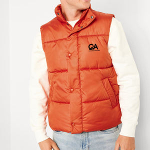 Haute Qualité À La Mode Hiver Vers Le Bas Puffer Gilet À Capuche Gilet Demi Veste Sans Manches pour Hommes Puffer Gilet pour Hommes - Product Image 3