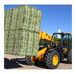 Heno de alfalfa a granel de origen sudafricano, en fardos de 20 kg, con una vida útil de 12 meses, para exportación a los mercados de África, Oriente Medio y Asia. - Product Image 1