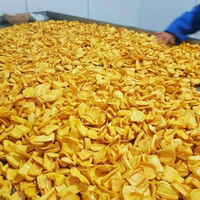 Gedroogde Jackfruit Chips Goede Kwaliteit Gedroogde Jackfruit Chip Vacuüm Gebakken Jackfruit Knapperig