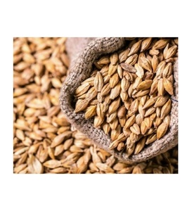 Grano de Trigo Fresco en Venta, Calidad Premium, Disponible al por Mayor y al por Menor, Distribución Mundial - Product Image 3