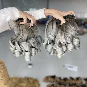 Paquets d'extensions de cheveux vietnamiens de couleur grise de qualité supérieure avec fermeture ou frontale pour faire des perruques - Product Image 1