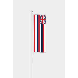 Digital-Printed Hawaiian <b>Flag</b> <b>for</b> Outdoor Use with Aluminum <b>Pole</b> - Product Image 1