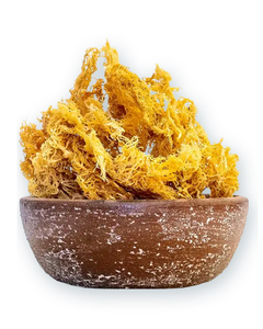 สาหร่ายมอสทะเลแห้ง จำหน่ายจำนวนมาก มีแร่ธาตุสูง - Product Image 6