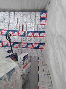 Pasta larga de espagueti de macarrones de calidad premium Super Q de 400g en marca egipcia disponible en bolsa o caja para suministro al por mayor - Product Image 4