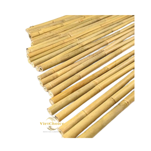 Best Price Strong Eco Friendly Natural Raw Bamboo Pole High Quality Vietnam Origin <b>Garden</b> Plant Support Customized 40-300cm Use - Product Image 2