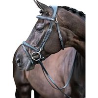 Selle de cheval western anglaise en cuir marron de haute qualité avec bride, arceau en bois, boucle en laiton et design protecteur
