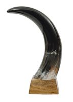 Corne de bœuf polie, pièce décorative artisanale naturelle, style animalier, noir et blanc, faite à la main, 1,5 mètre, décoration murale pour la maison
