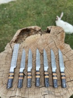 Sun Shine Supplies CS-005 Ensemble de six couteaux de chef faits à la main en acier Damas et acier au carbone avec manche en bois, couteau d'office inclus