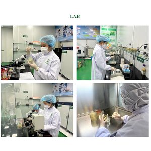 Saludable de Vietnam 105ml DT Soft Sea Grape Jelly Nutritiva Sabor a fresa Snack Bag Popular Listo para comer Producto de algas marinas - Product Image 2