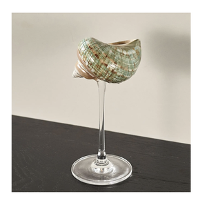 Seashell Cup Empaquetado para pedidos de regalos al por menor Proyectos de estilo de restaurante y accesorios de mesa junto al mar - Product Image 1