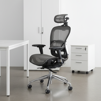Chaise de Direction Ergonomique Moderne Entièrement en Maille avec Cadre en Plastique, Appuie-tête 3D Réglable, Support Lombaire et Accoudoirs 3D Réglables, Réglage Automatique du Poids