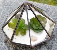Terrarium décoratif pour la maison Forme carrée Verre et cadre fini de couleur noire Idéal pour le stockage de plantes et de fleurs de table élégantes