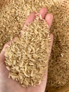 Arroz Integral Orgánico Saludable de Grano Largo de Vietnam |   Secado en Frío |   Nutrición Natural |   Calidad de Exportación 2025 [Evelyn] | - Product Image 5