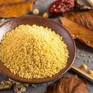 LITTLE <b>MILLET</b> NOODLES WITH TOP QUALITY BEST FOR BIRD FEEDING ENRICHED WITH HIGH PROTIEN PACKED AND PROCESSED FROM INDIA - Product Image 1