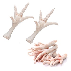 Fourniture en usine de pieds de poulet congelés Produit de volaille fraîche de qualité supérieure pour l'exportation Vente en gros et vente sur le marché des restaurants - Product Image 5