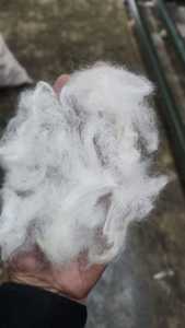 เส้นใยขนแพะธรรมชาติแบบหวี ผลิตตามสั่ง สำหรับร้านขายเส้นด้ายและใยสังเคราะห์ สำหรับผู้ผลิตเส้นด้ายและผู้ทอผ้า - Product Image 2