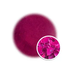 Factory Wholesale Price Magenta Powder For Food From Viet Nam