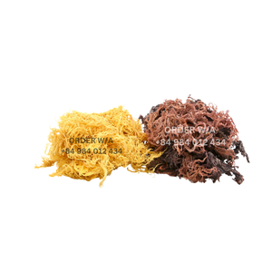High-quality, Wild-crafted, Organic Pure Golden Irish Sea <b>Moss</b> Is Offered at Competitive Rates - Product Image 5