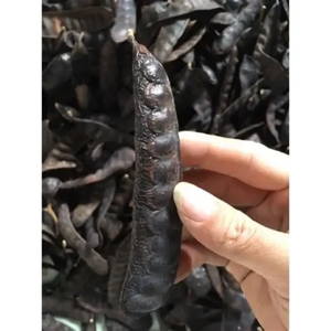 PODS DE GLEDITSIA SÉCHÉES NATURELLES PREMIUM PARFAITES POUR LES EXTRAITS DE THÉ AUX HERBES ET LES PRODUITS ÉCO POUR LES CHEVEUX - Product Image 6