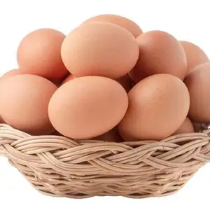 Brown Shell Table Fresh Chicken Eggs Wholesale Fresh Farm Fresh Chicken Table Eggs and White Shell Chicken Eggs