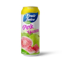 Groothandel 500Ml Vruchtensapdrank Met Fruitpulp Private Label Fabrikant Frisdrank Oem Productie Gratis Monsters