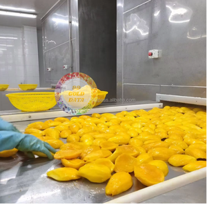 Mangue congelée en vrac Premium High-Brix du Vietnam Forfait au meilleur prix avec processus IQF en forme de cubes/dés/tranches - Product Image 6
