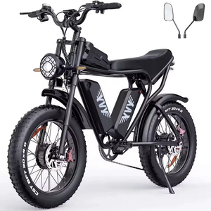 Motocicleta Eléctrica Industrial de Plástico de Alta Calidad 2025, 1000W, 25-30 Mph, 48V, Batería de 20-15 Ah, RI-DSTA/RS Maxx, 50-75 Millas de Autonomía - Product Image 3
