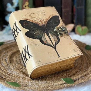 Livre de sorts vierges des ombres Luna Moth Journal Witchcraft Supplies Moth Decor et Morpho Butterfly cadeau pour lui - Product Image 2
