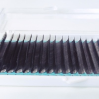 Ekstensi Bulu Mata Klasik dengan Panjang Campuran, Label Pribadi, Bulu Mata J Curl Bahan PBT, Buatan Tangan, Bebas Kekejaman, Alami, Panjang