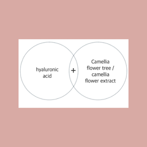 Tónico Equilibrante y Blanqueador de Camelia de Corea OEM ODM (Blanqueamiento y Cuidado de Arrugas) - Product Image 2