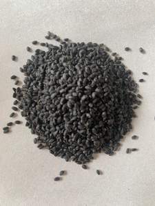 Graines de basilic premium, - Product Image 6