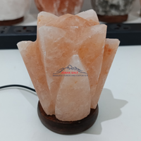 Lampe de sel de l'Himalaya rechargeable par USB en gros, OEM, marque privée, motif floral géométrique sculpté, écologique, ISO/CE JOBAK