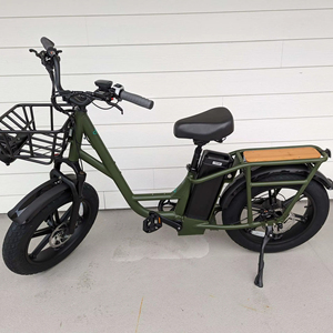 Offre de vente : Nouveau vélo électrique utilitaire F-iido T1 Pro 2024, prix avantageux, produit phare, haute vitesse, marque de renom - Product Image 2