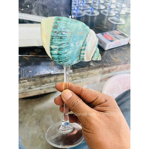 DÉCOR CÔTIER SUR MESURE: ORNEMENT EN VERRE CLAIR CONÇU AVEC DE VRAIES COQUILLES Offre Spéciale 2025 - Product Image 2